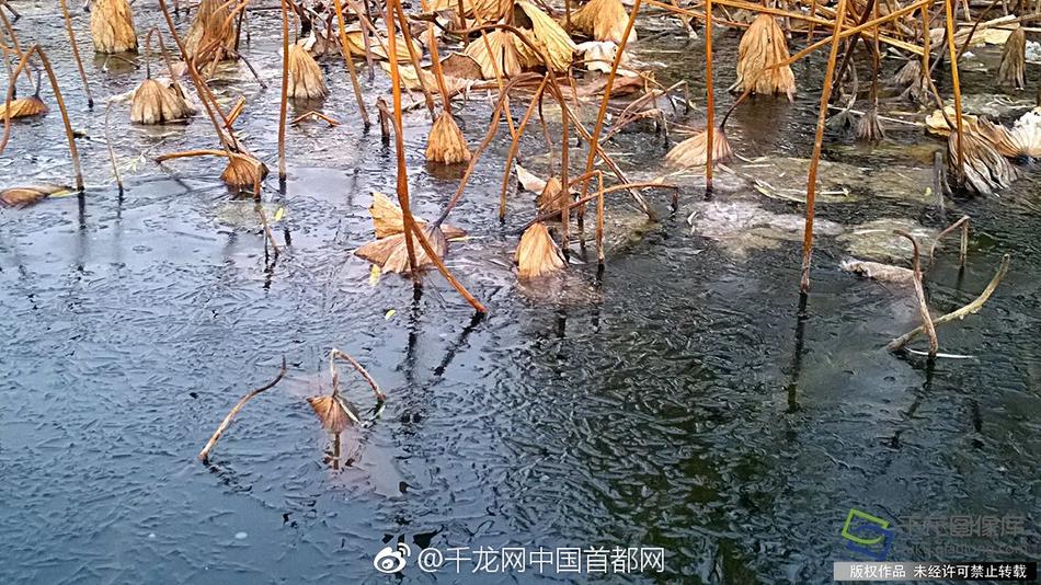黄色电影Xxxx