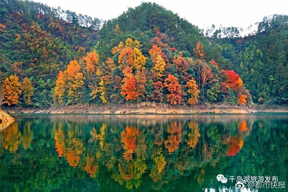 皇帝与宫女乱高潮A片