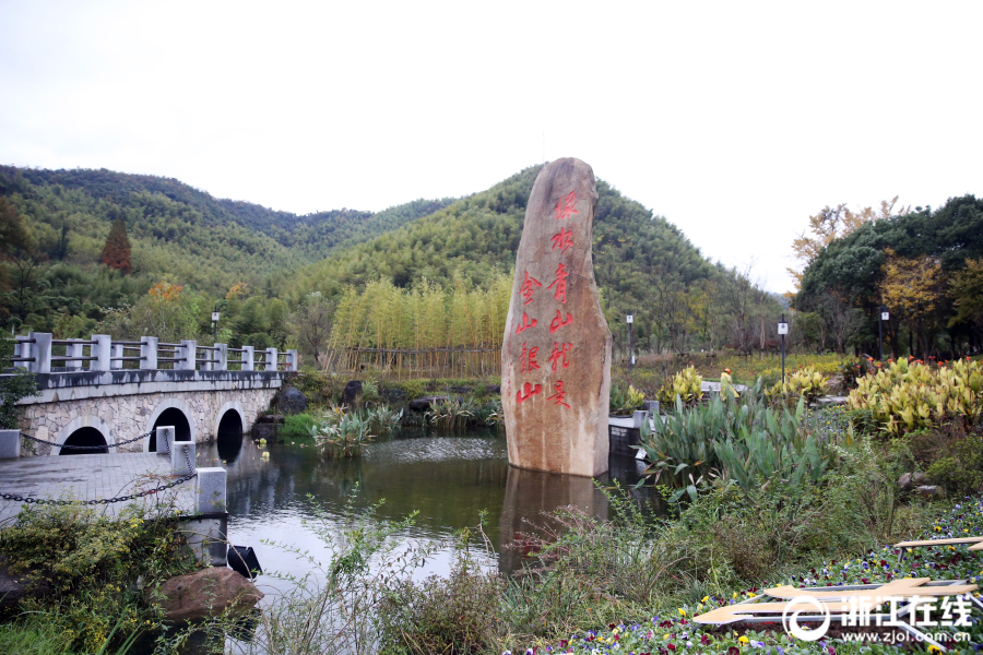 张丽Avhd