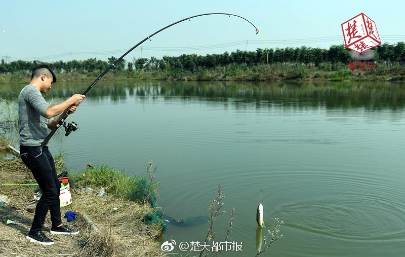 免费 嗨 片 直播 网