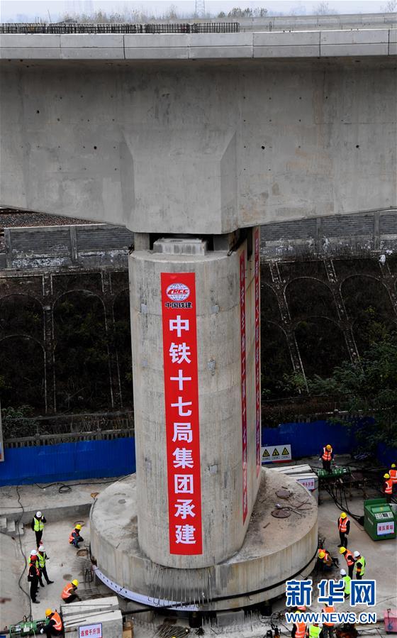 官方免费黄色网站