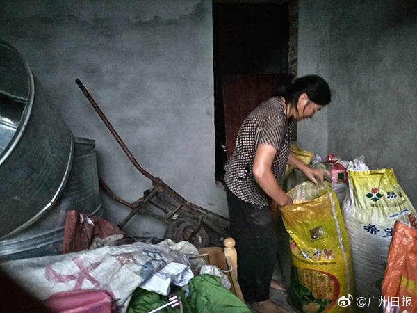 蓬南镇人口_淝南镇各村人口(3)