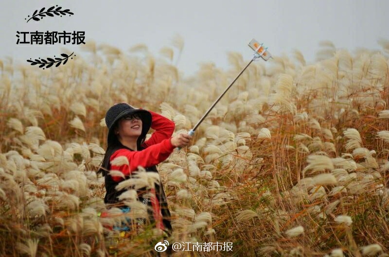 张筱雨大荫蒂毛茸茸