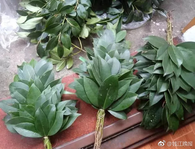 综合色区