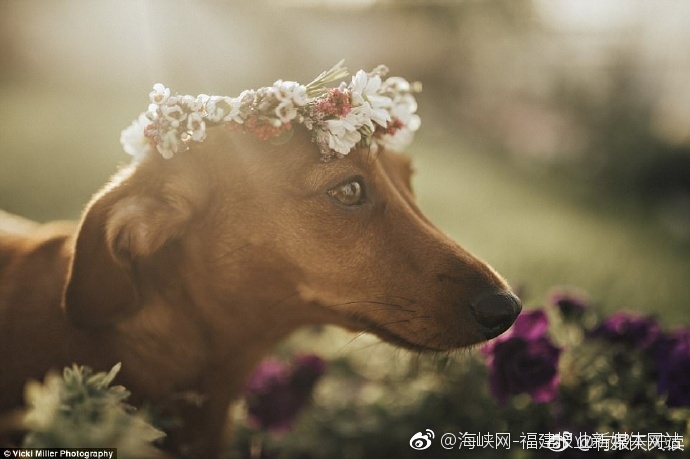 早坂愛