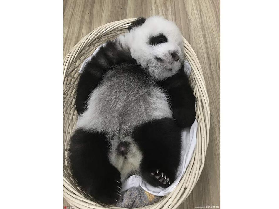 工藤帆波
