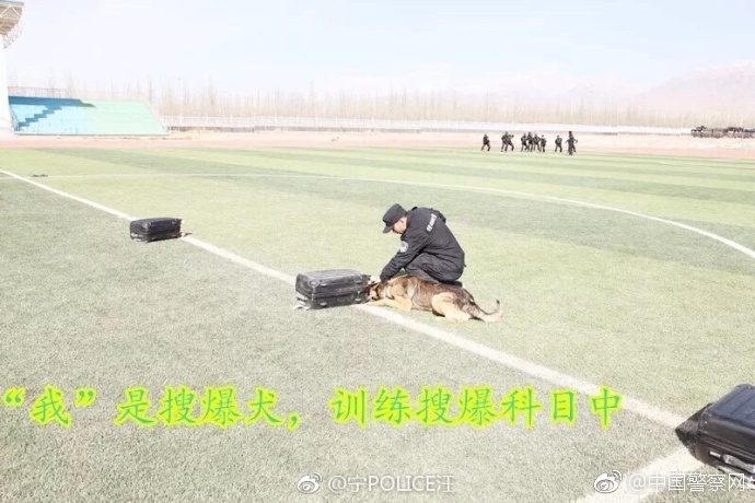 白妞大战两个黑人巨大