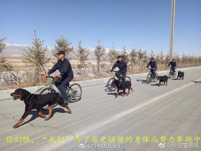 3D女天狗色情