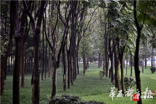 曾小燕