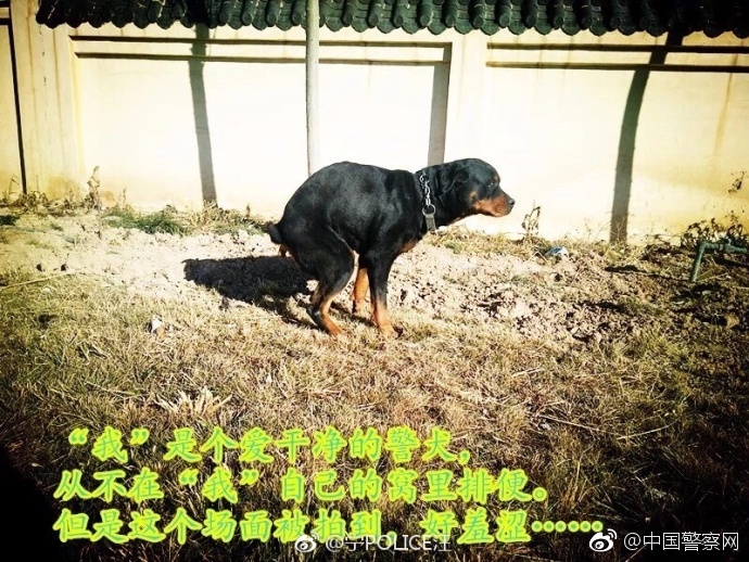 好爽射深一点丰满视频