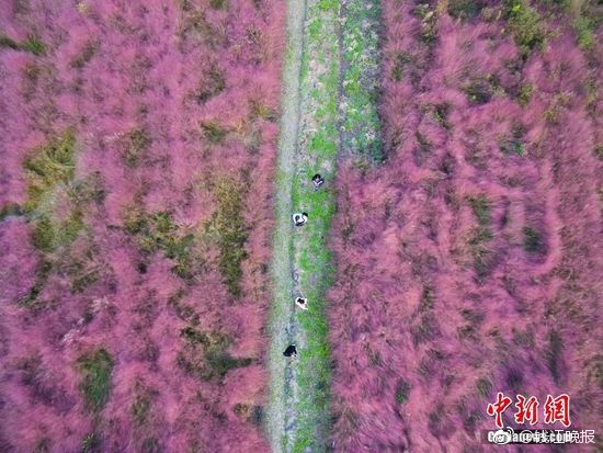 中国偷拍色情片