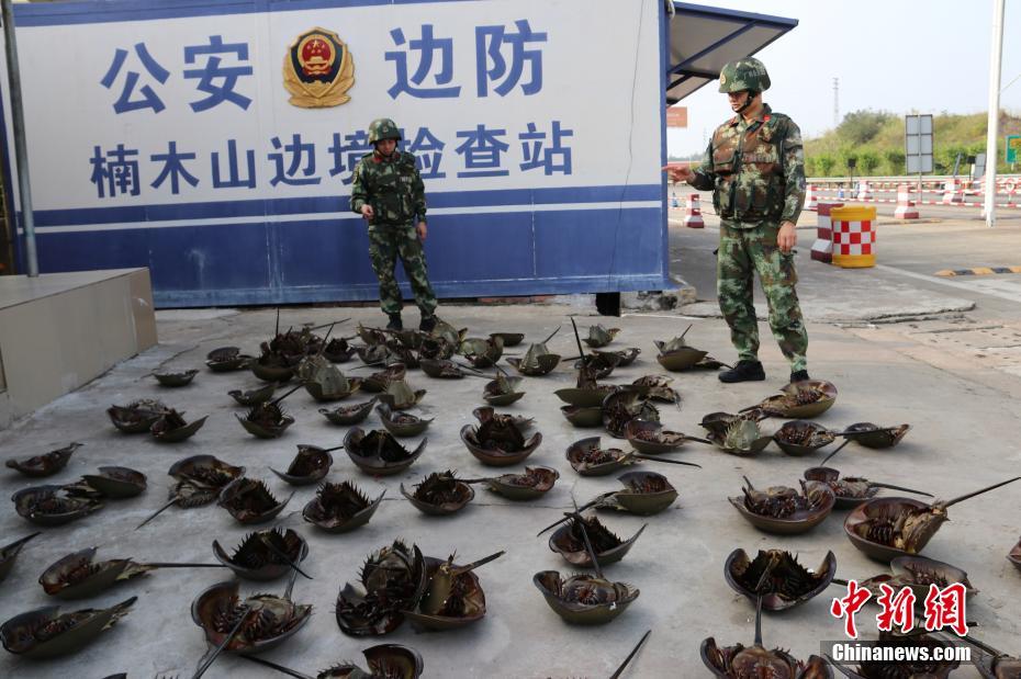 公交车上被摸到高潮