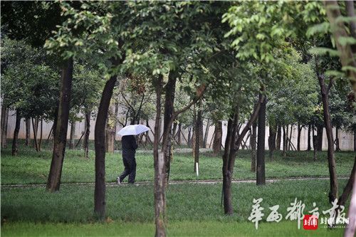 国产精品久久久久久一级毛片许晴