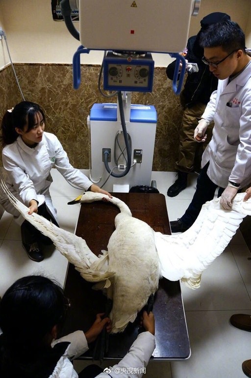 陳郁翔飛機盲測