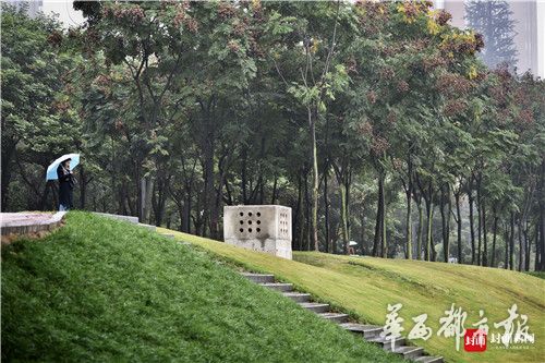 夜月直播app下载免费看