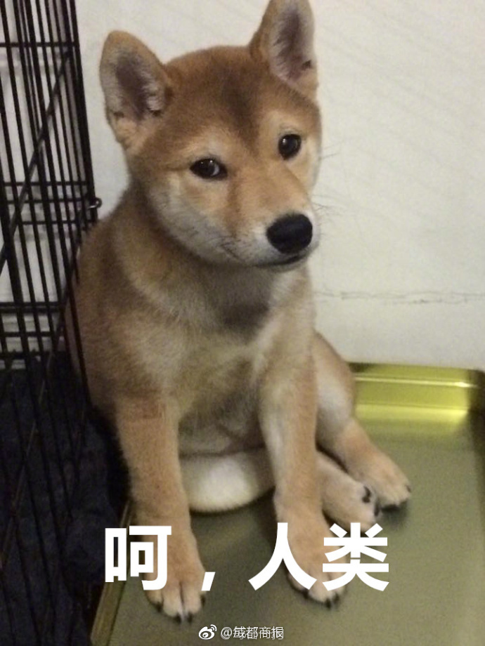 佐倉絆激戰黑人