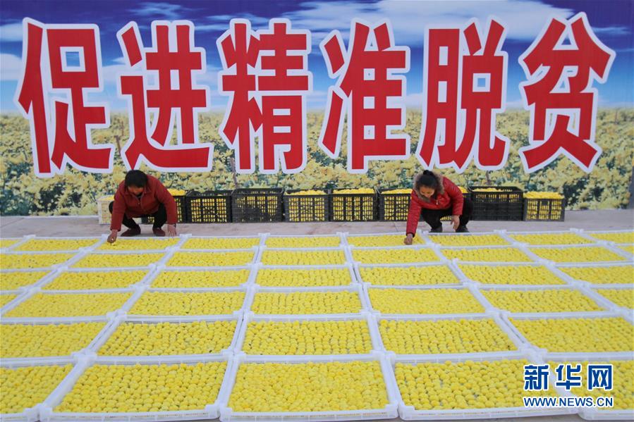 年轻丰满的岳 3