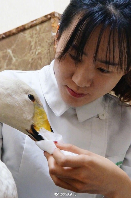 张栢芝的一级片