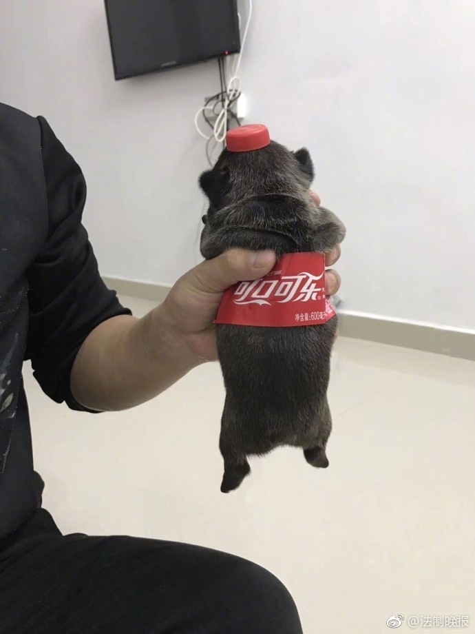 欧美孕妇性XX