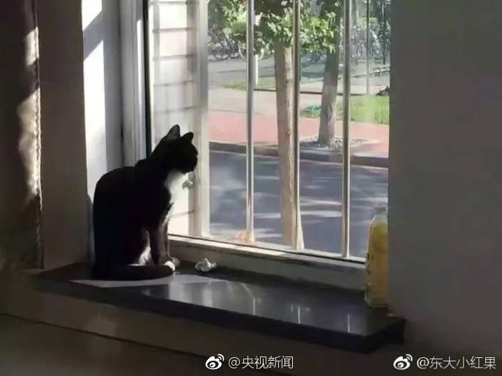 老师把 露出来让我c了一节课