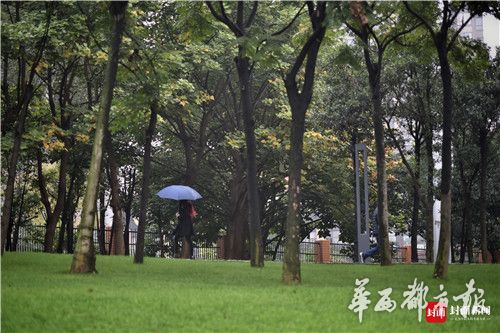 风流老太大BBBBBB