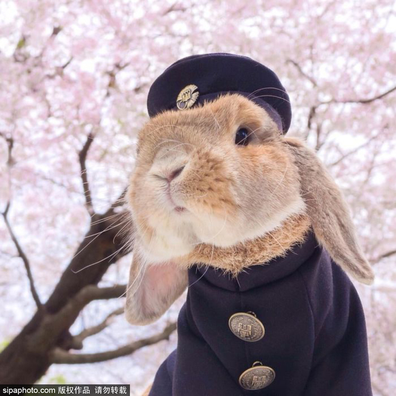 黄色动画网站下