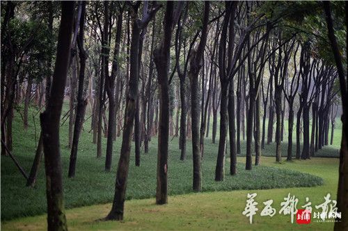 加勒比无码久久