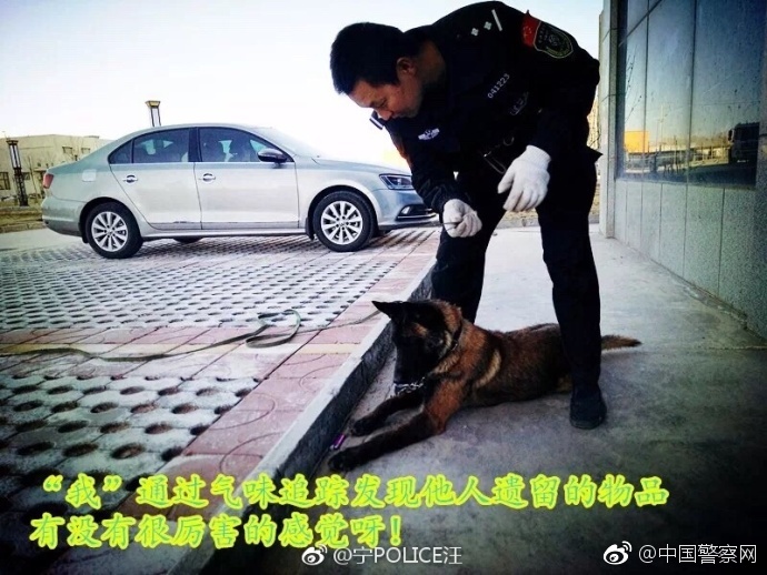 又硬又粗进去好爽A片青楼传媒