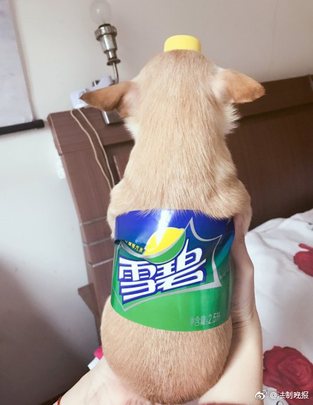 国语对白91爽死我了