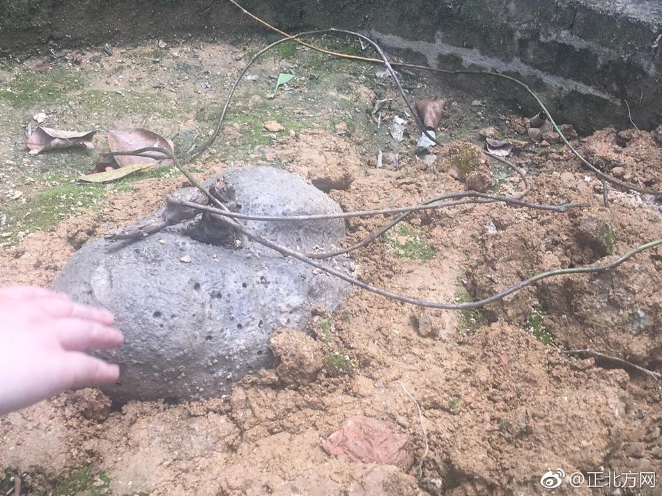 亚洲综合区