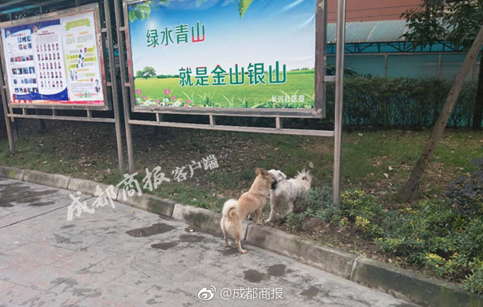 又黄又湿又免费的黄色网站