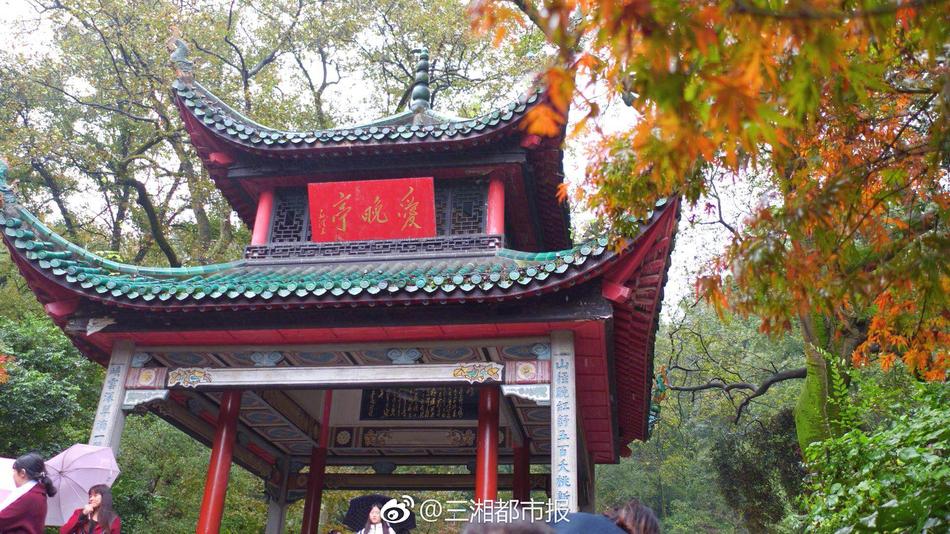 中国无套毛片学生妺女