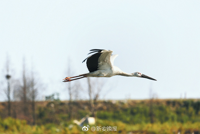 黄片小电影在线观看无码