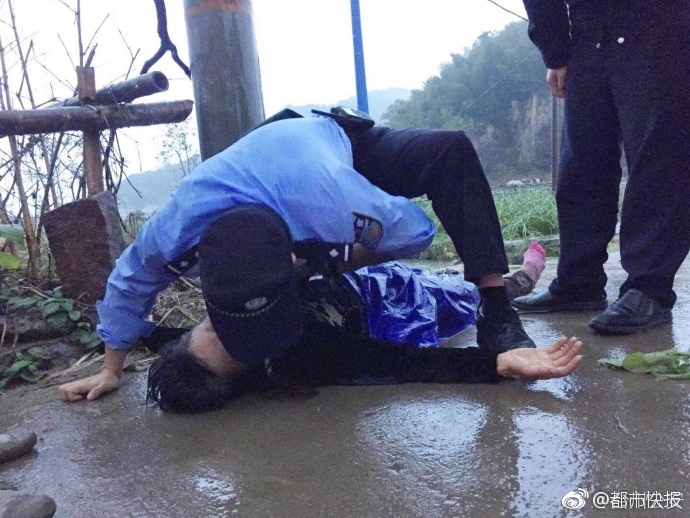 桜井麻美