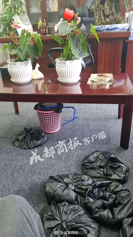 高清无码H片网站网址