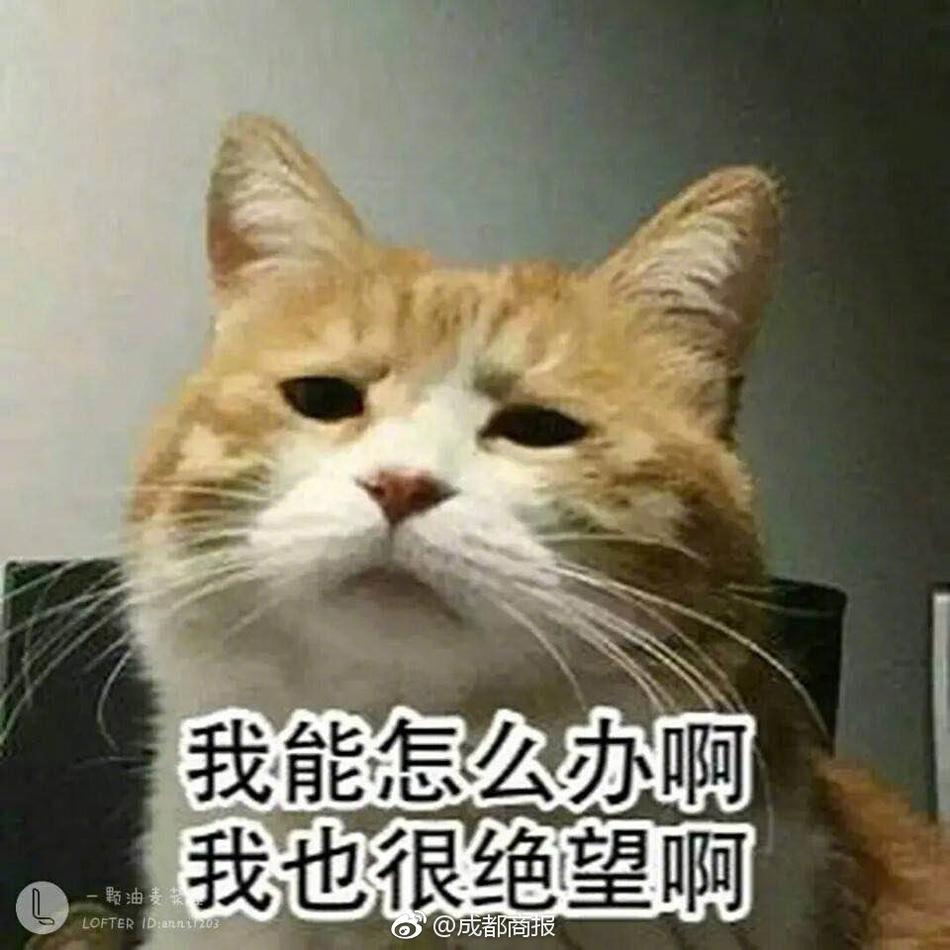 公交车性刺激Hd