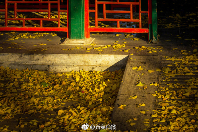 女神露點