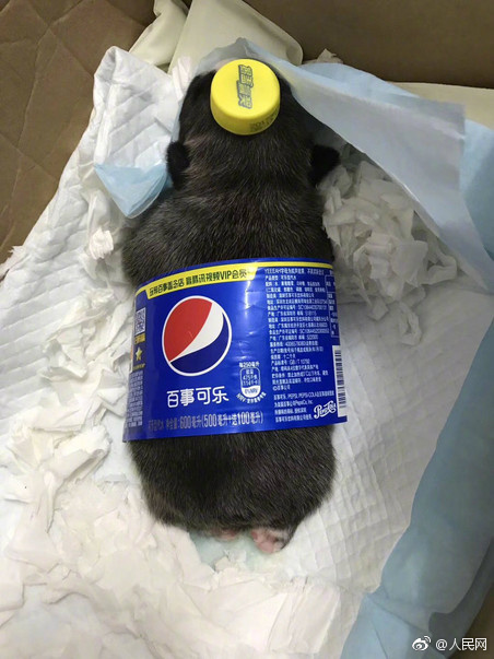 亚偷拍Ⅹⅹ00