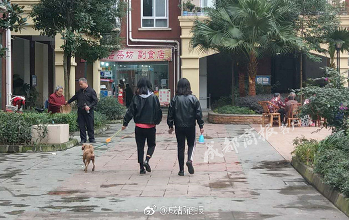操你拉