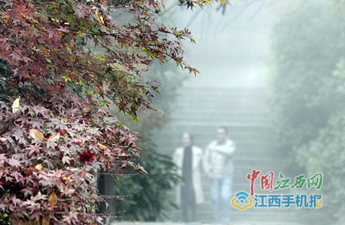 操白虎