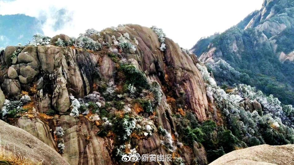 凤蝶直播APP下载安装