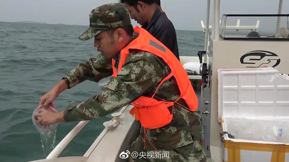 新婚之夜裸体无码