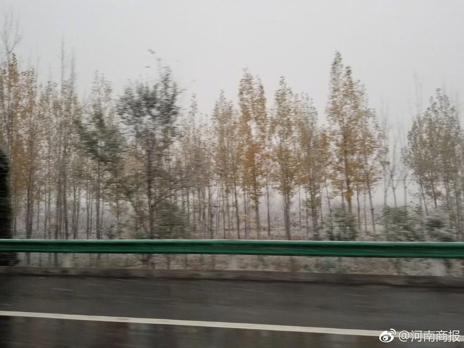 韩国裸体秘 无遮挡跳舞