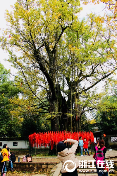 美女粉嫩小穴