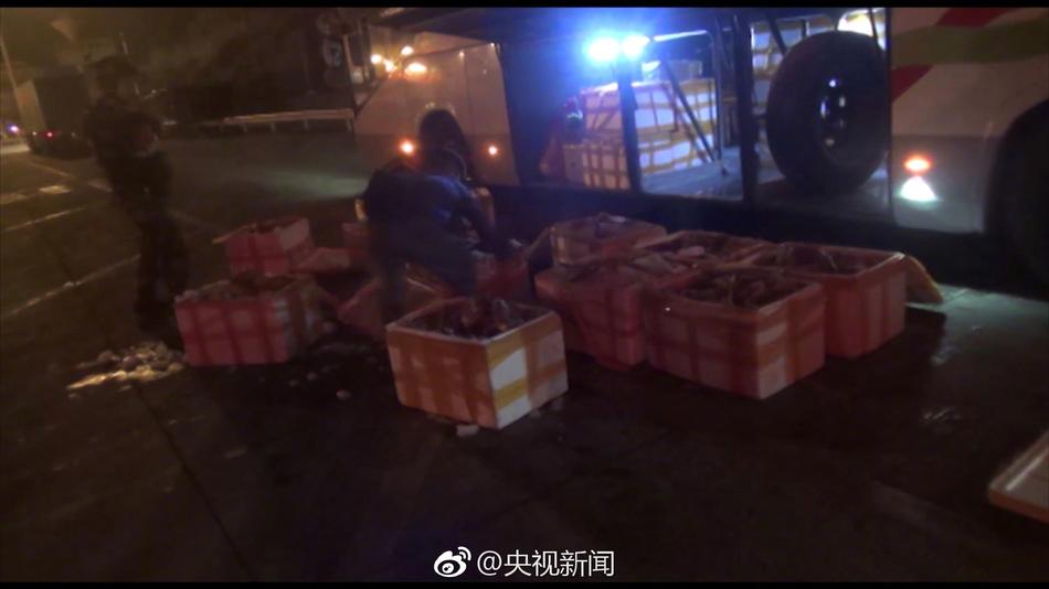 靠逼软件大全