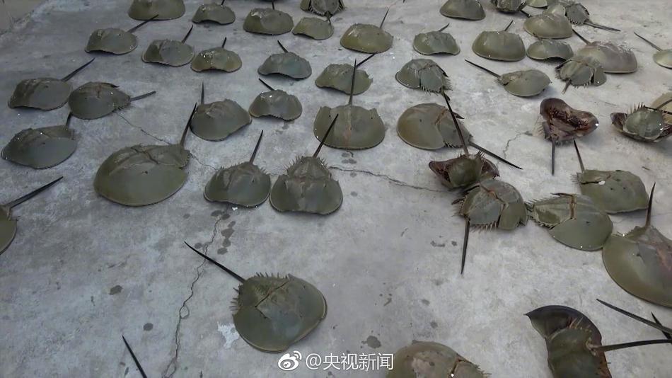 第一次高潮性爱Vedio