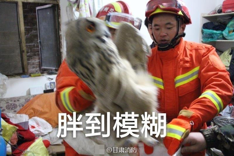 长舌