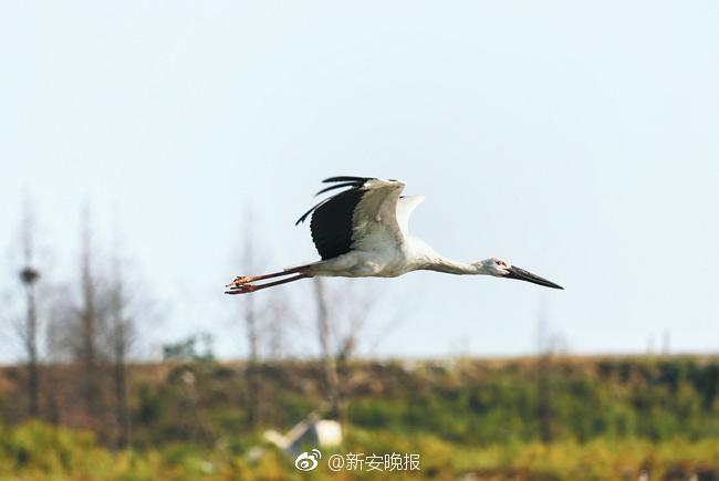 亲近相尾中字