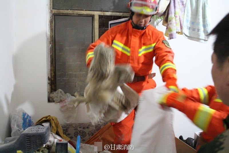 女扑扒开露秘 让人爽桶