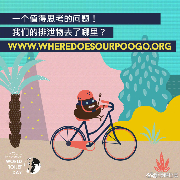 一级黄色网